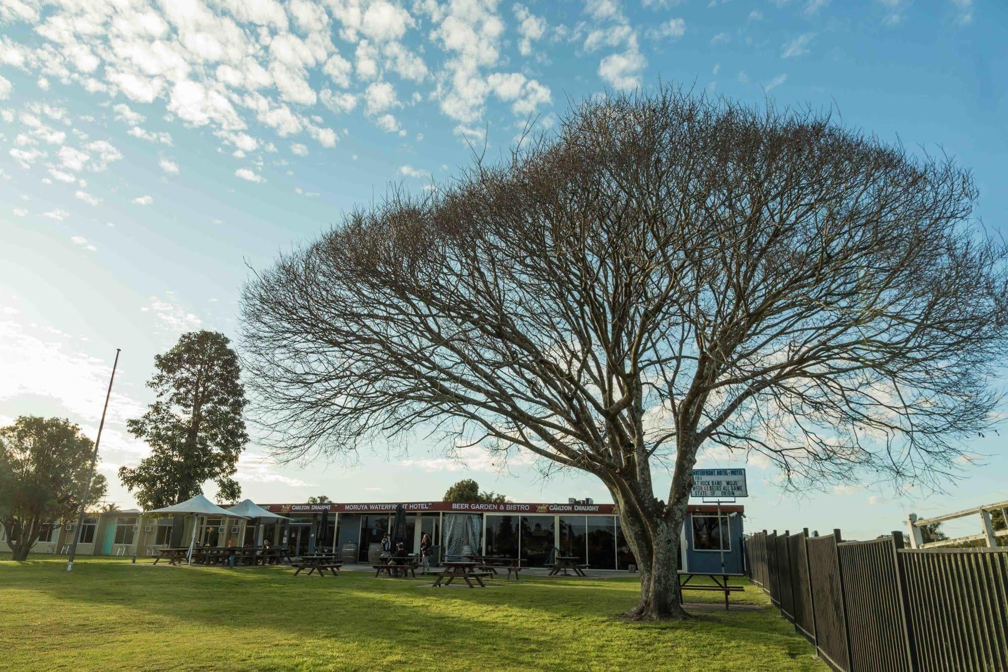 Moruya Waterfront Hotel Motel Exterior photo